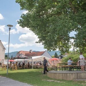 Sieben auf einen Streich